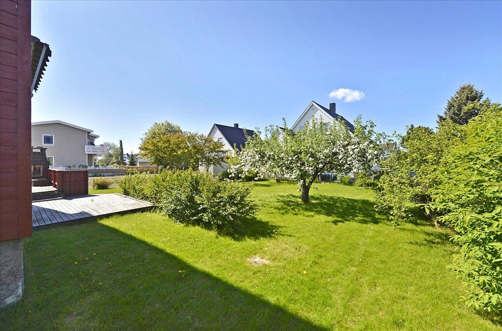 Pen hage Galleribilde