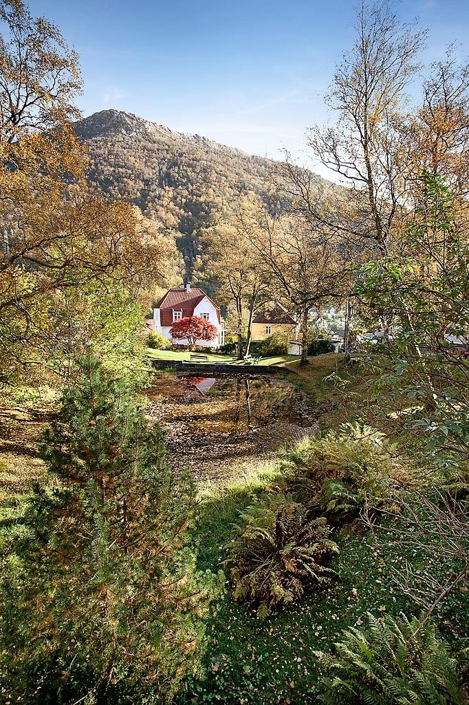 Rekreasjon i park like ved Galleribilde