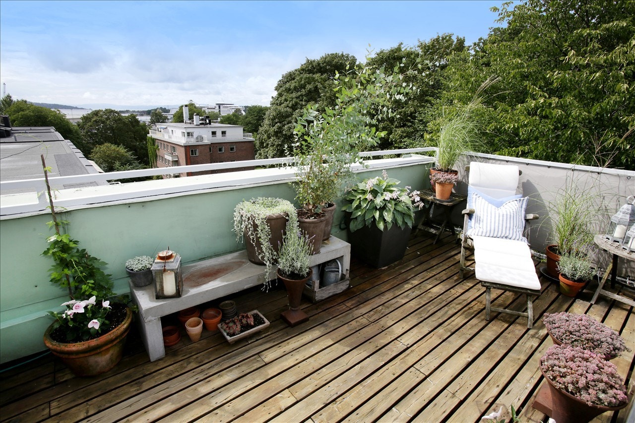 Solrik takterrasse Galleribilde