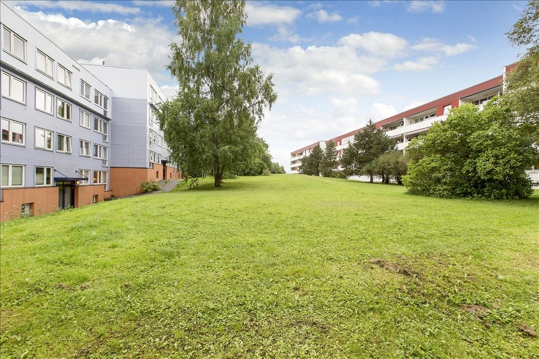 Flotte grøntområder. Galleribilde