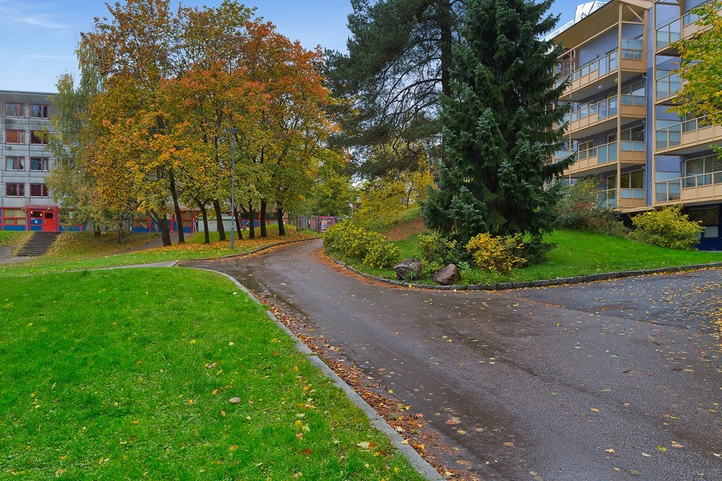 Store grøntarealer i området. Galleribilde
