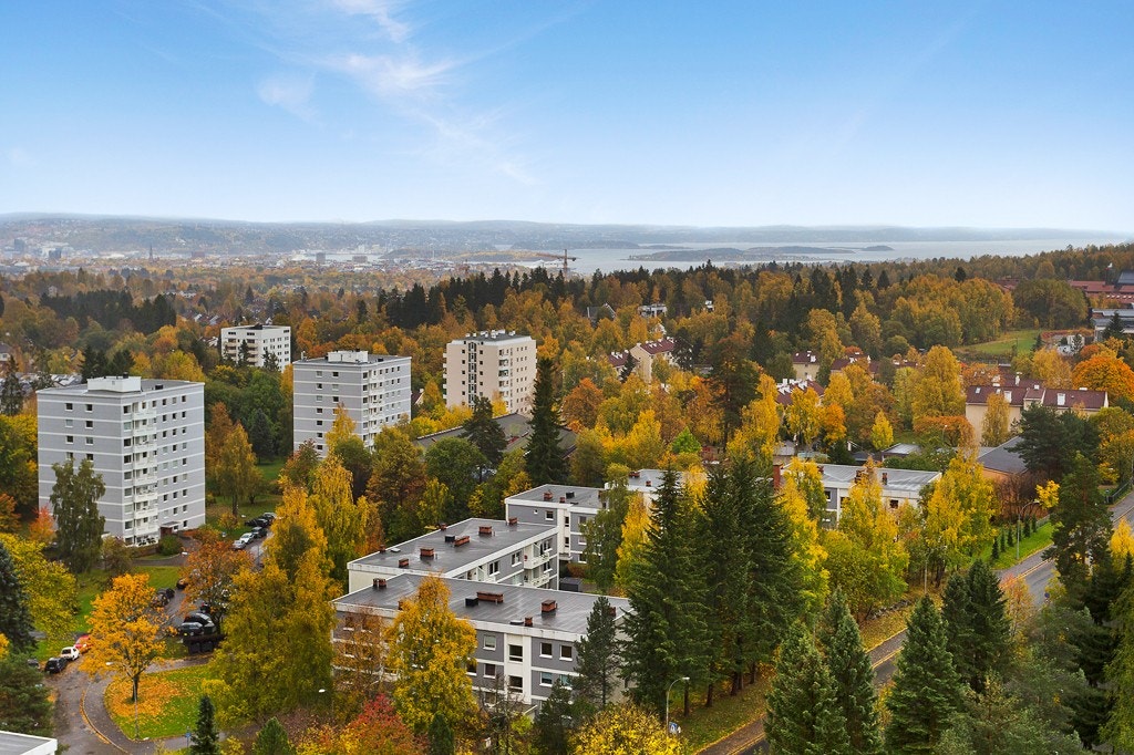 Fantastisk utsikt fra felles takterrasse. Galleribilde