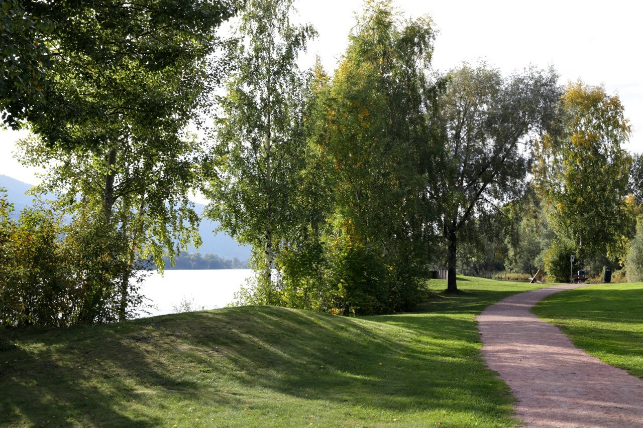 Drammenselva Galleribilde