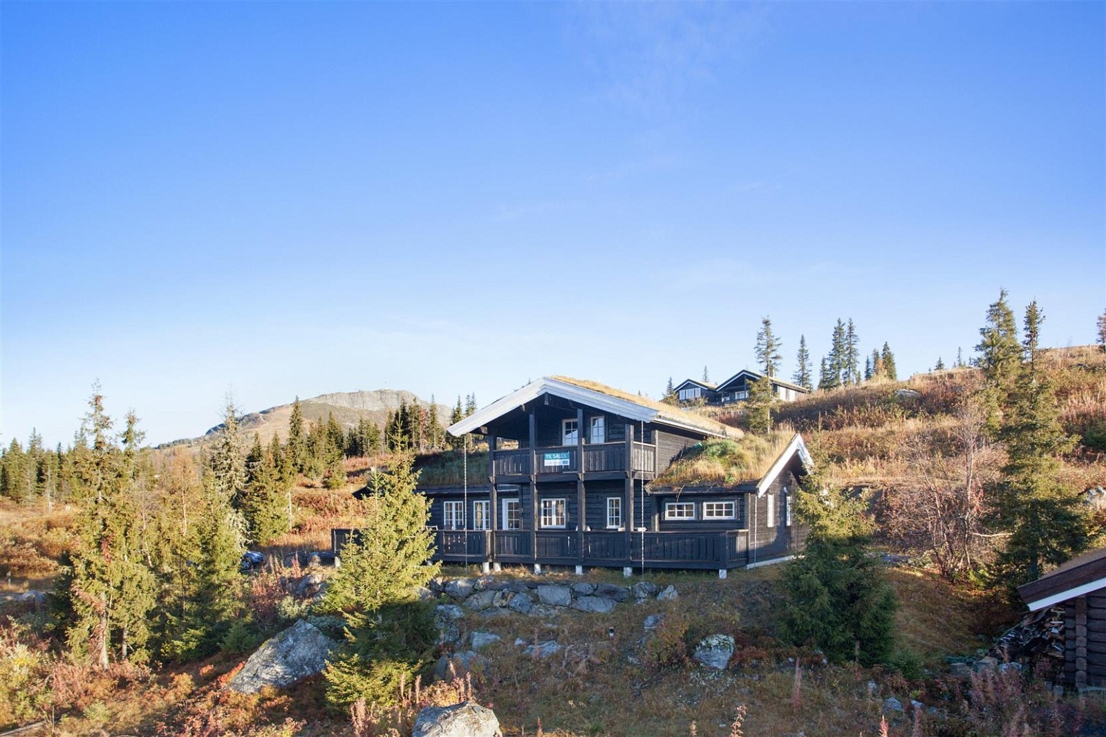 Hytta med Skeikampen i bakgrunnen. Galleribilde