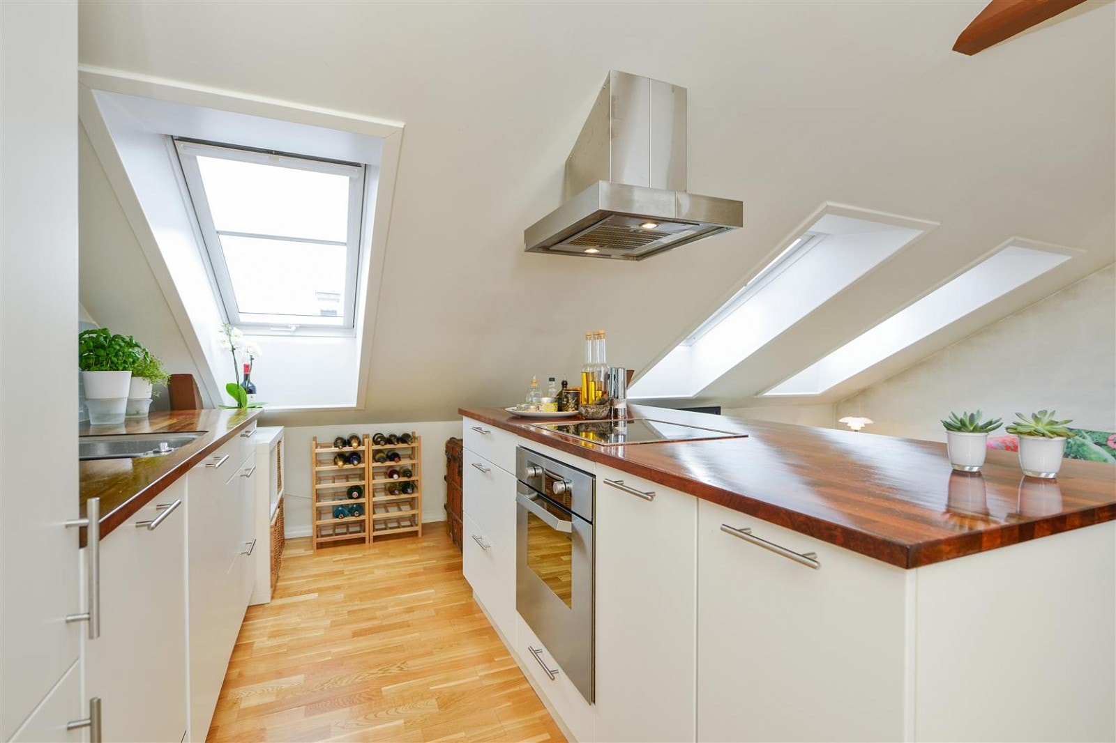 Praktisk kjøkkenøy med takfestet ventilator som tar matosen ut av bygget. Galleribilde