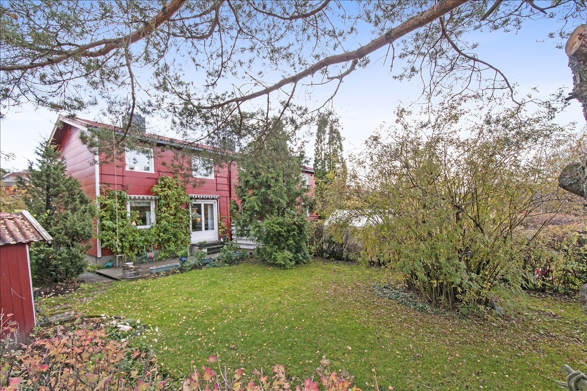 Flott hage på ende med gode solforhold Galleribilde