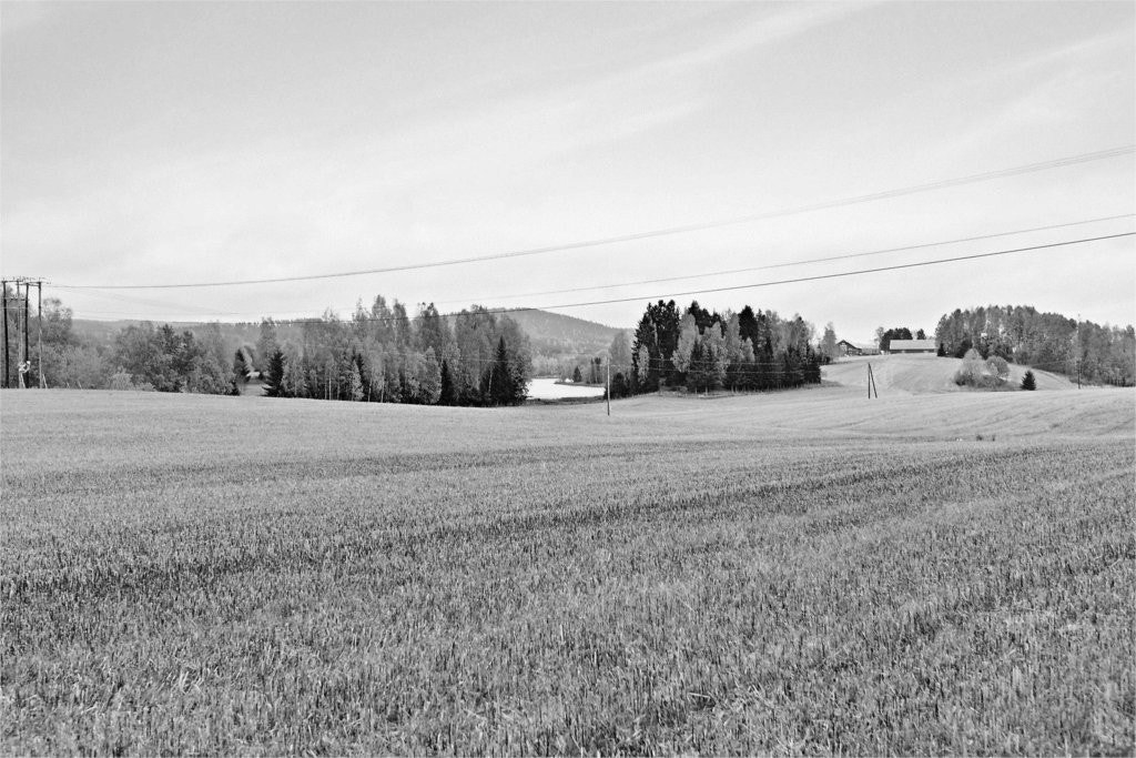 Nærområde Galleribilde