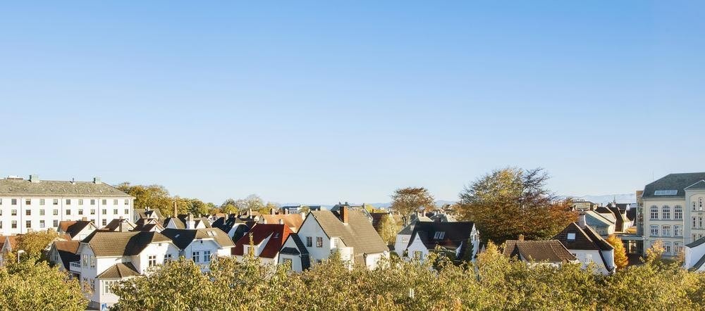 Nydelig utsikt. Galleribilde