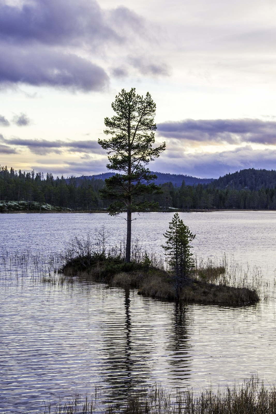 Søndre Valsjøen Galleribilde