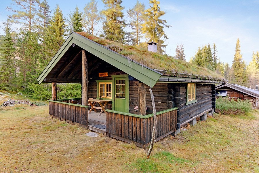 Setra på Movollen Galleribilde