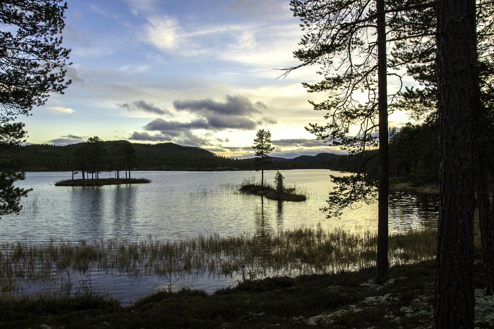 Søndre Valsjøen Galleribilde
