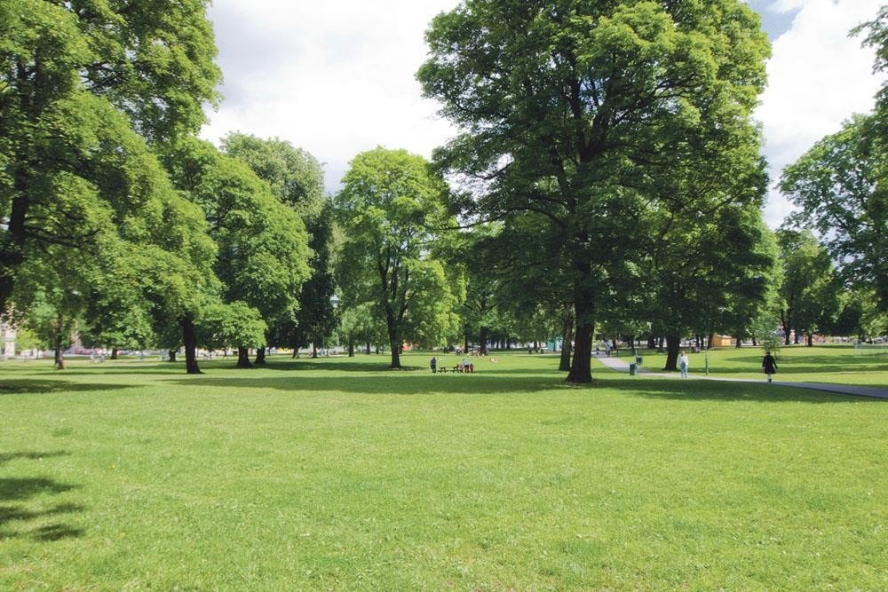 Sofienbergparken Galleribilde