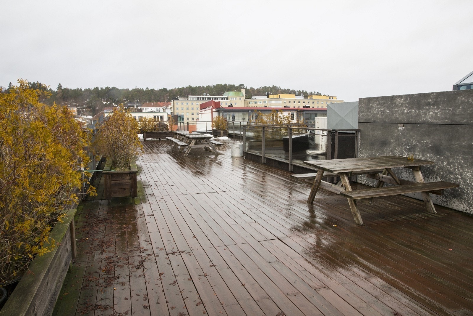 Stor terasse som er åpen for byggets beboere. Nord-Øst. Galleribilde