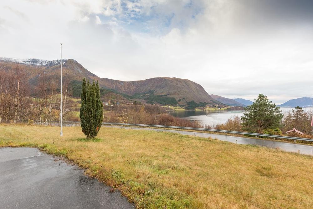 Opparbeidet plen Galleribilde