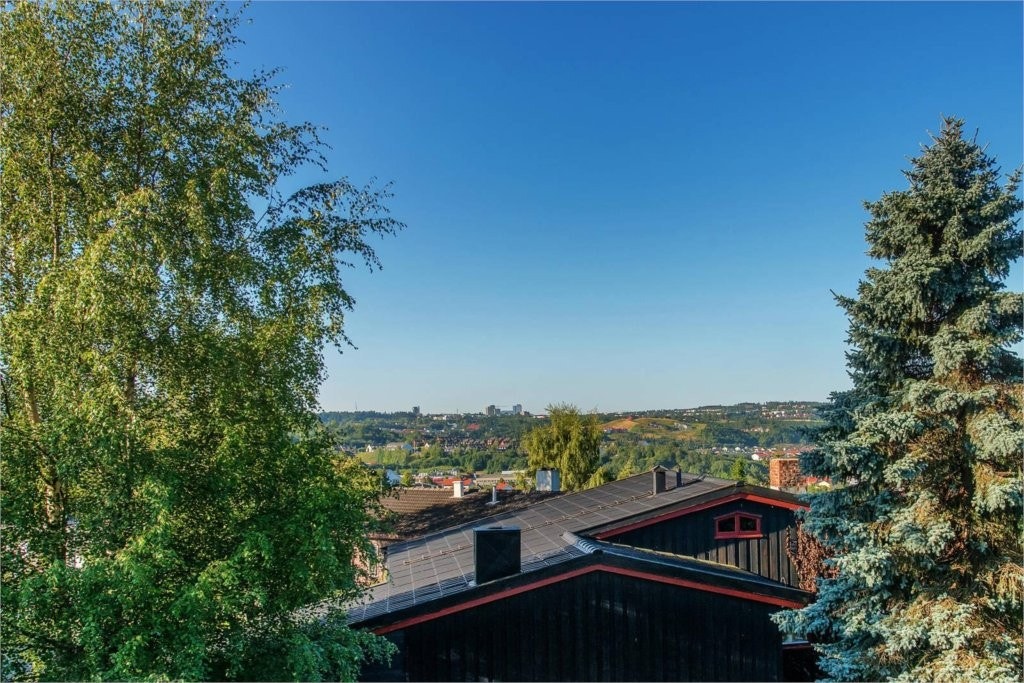 Fantastisk utsikt Galleribilde