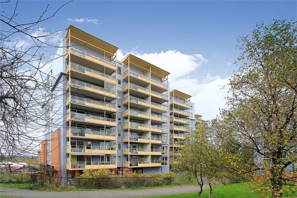 423110681 Galleribilde