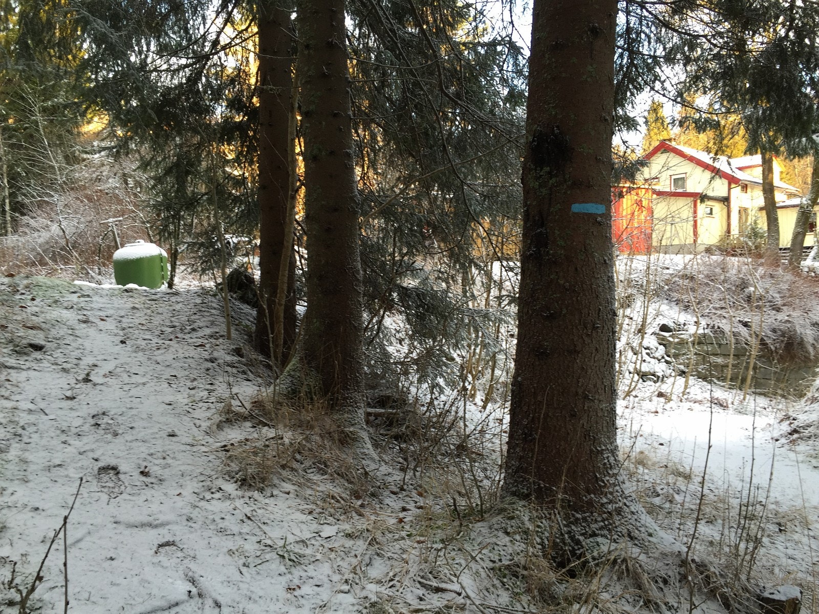 Merket turløype rett fra tomten. Galleribilde