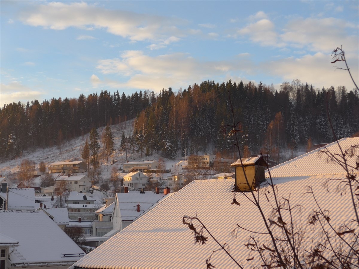 Utsikt mot Hovdetoppen med fine turmuligheter og alpinbakke og utendørs badeanlegg på andre siden av toppen. Galleribilde