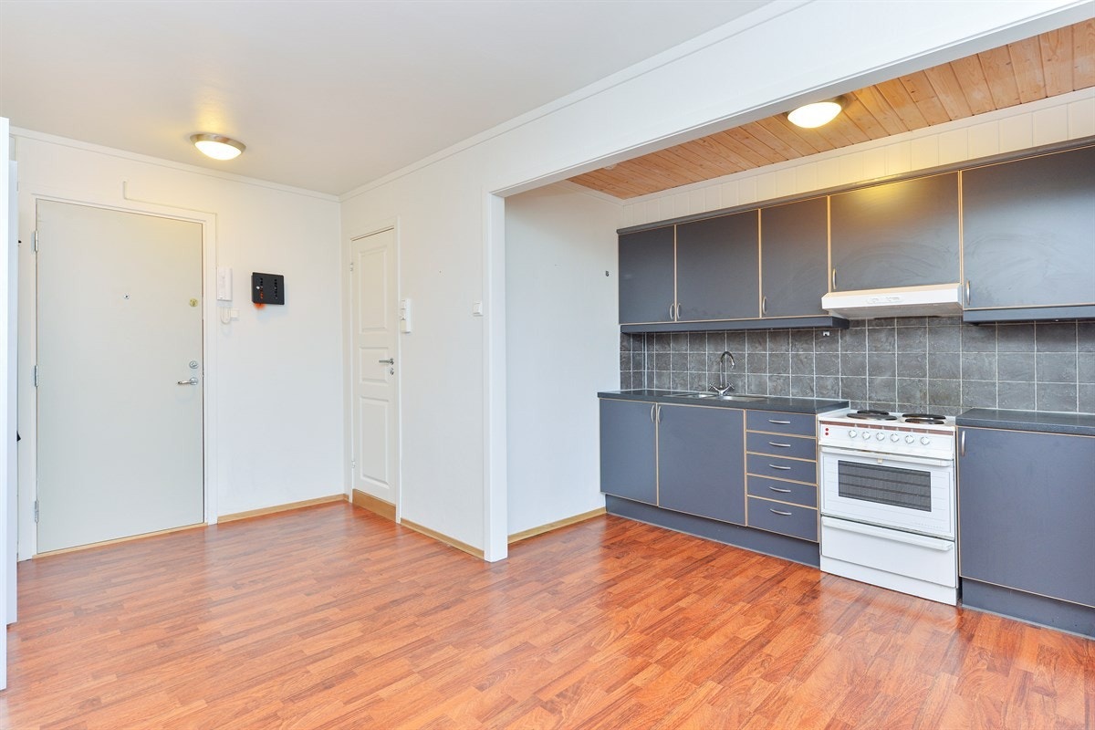 Lys og fin leilighet i åpen løsning Galleribilde