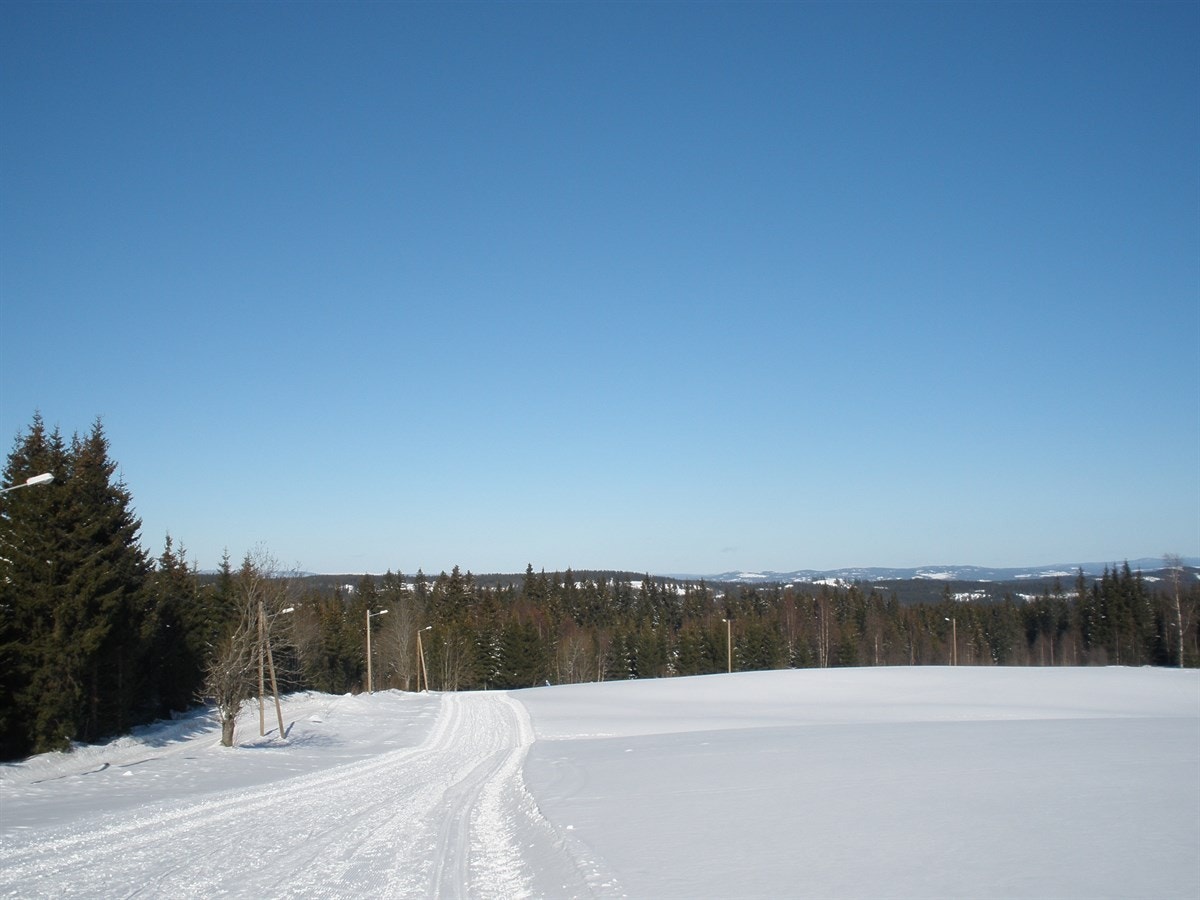 Mange flotte skiløyper/lysløyper i nærområdet Galleribilde
