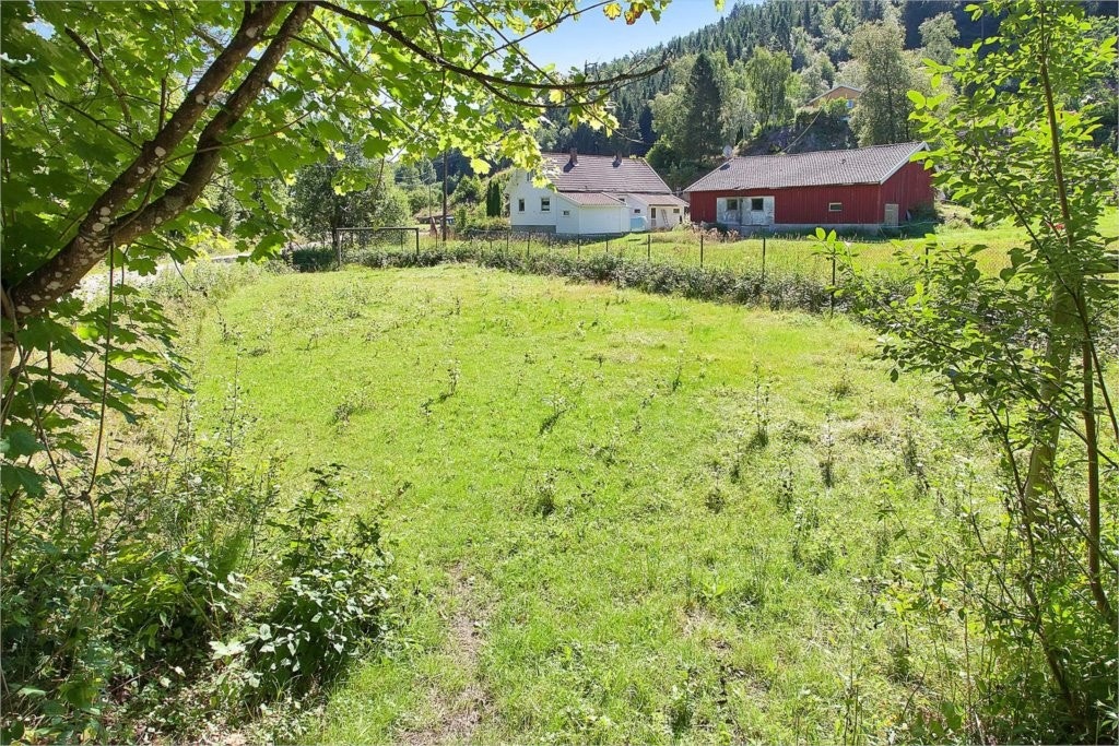 Fra området Galleribilde