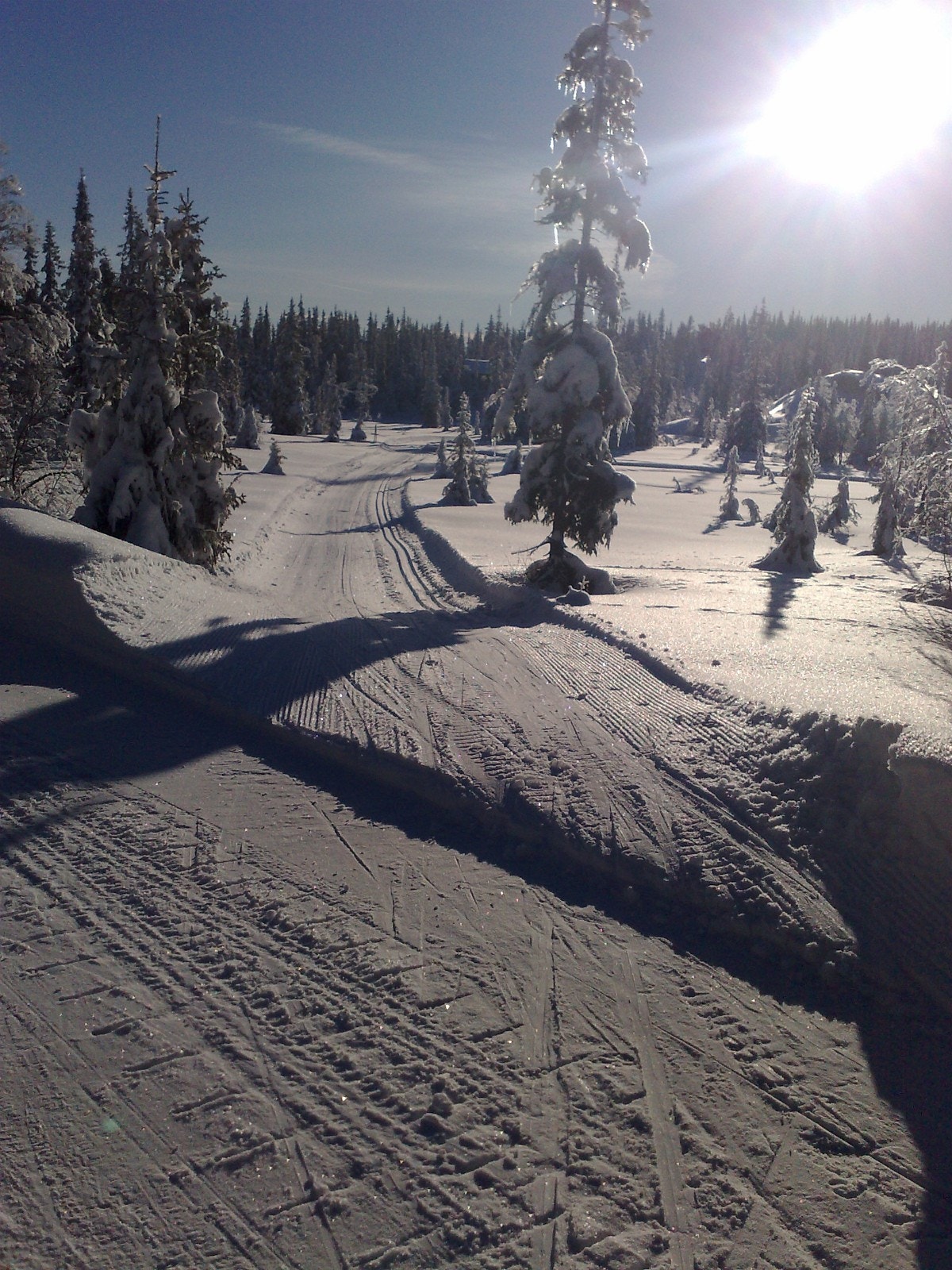 Vinterbilde Galleribilde