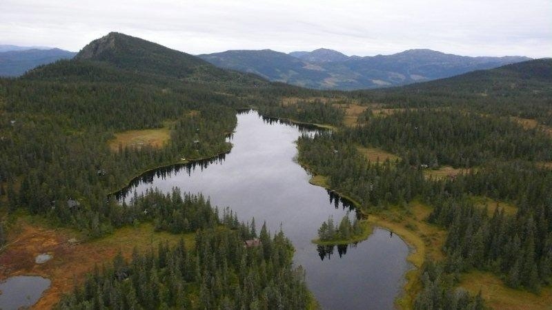 Langetjønn Galleribilde