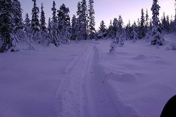 Vinterbilde Galleribilde