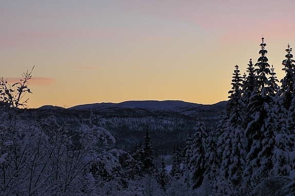 Vinterbilde Galleribilde