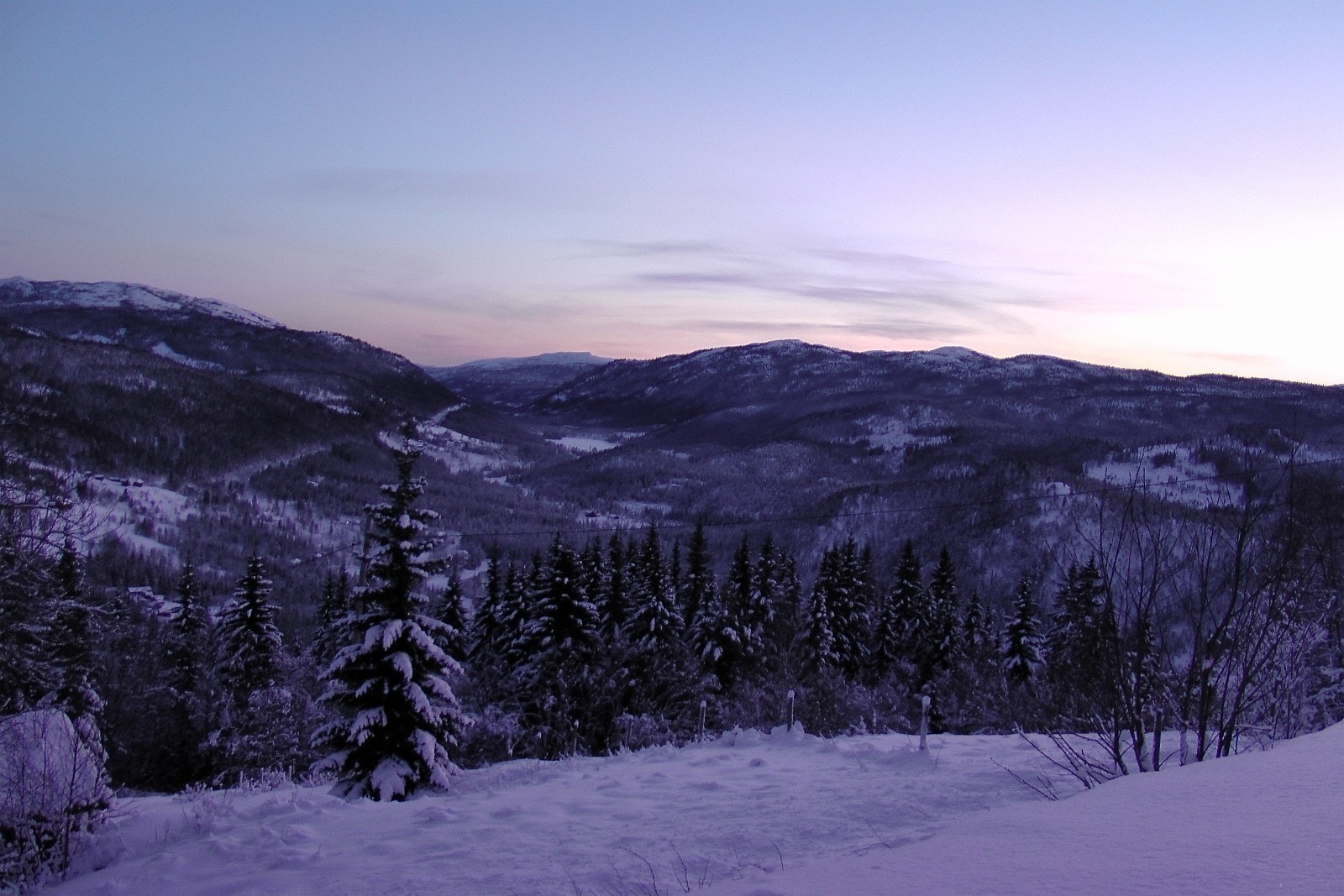 Vinterbilde Galleribilde