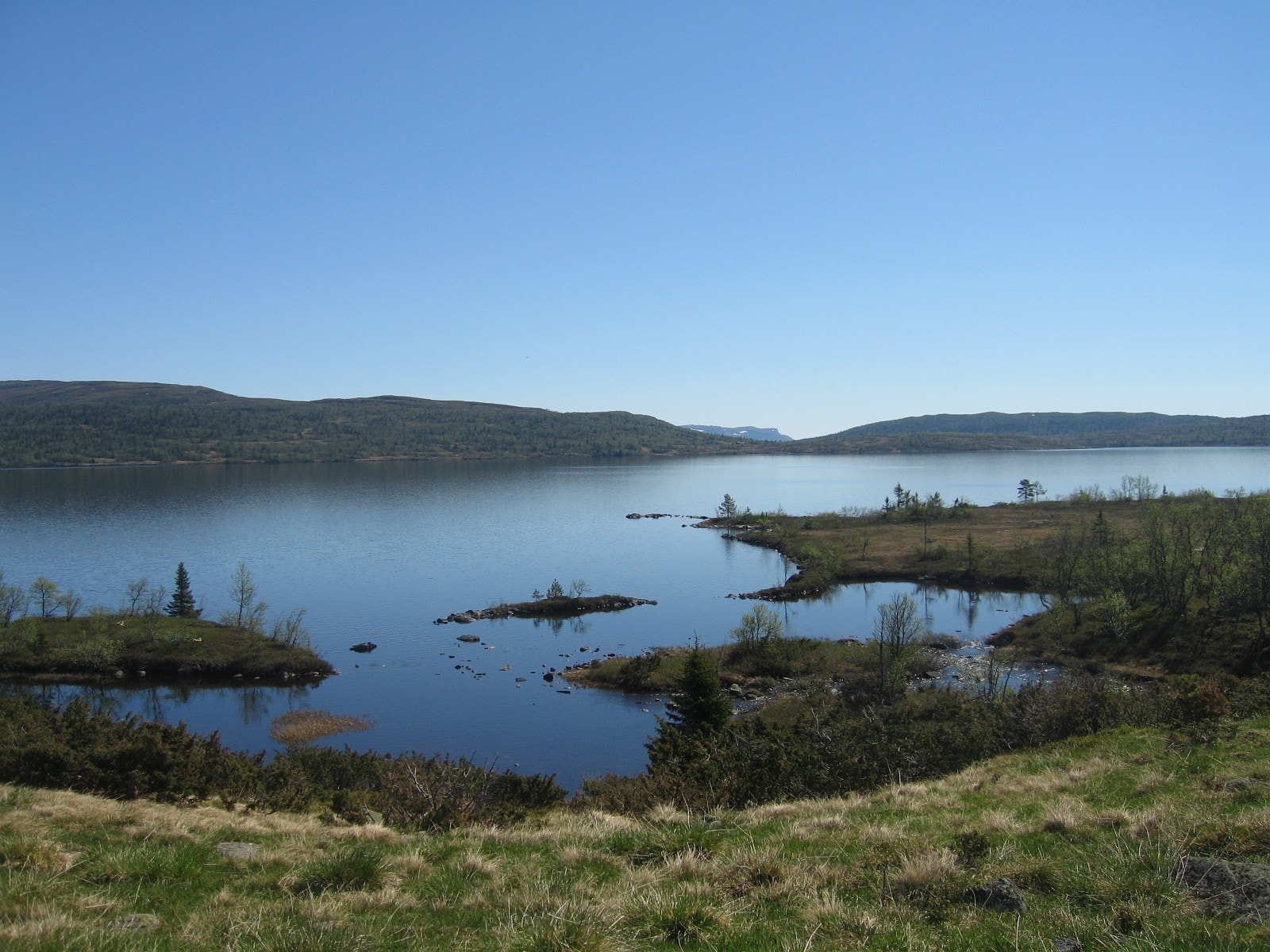 Kråkenes mot blefjell Galleribilde