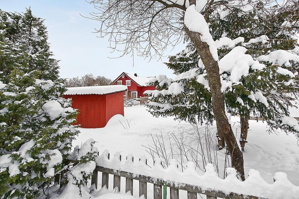 Hyggelig hage hvor leiligheten disponerer egen bod Galleribilde