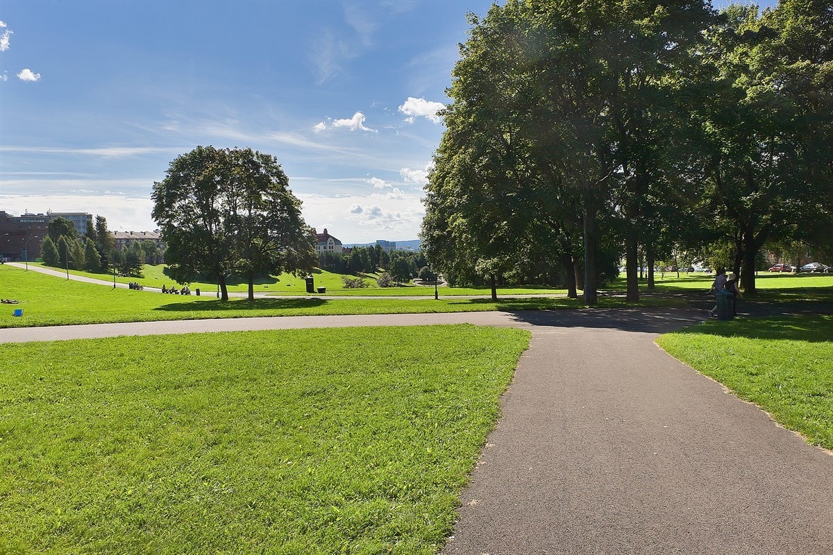 Koselige Torshovparken ikke langt unna Galleribilde