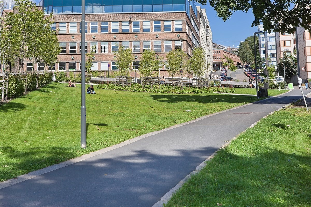 Parken ved Elexia Galleribilde