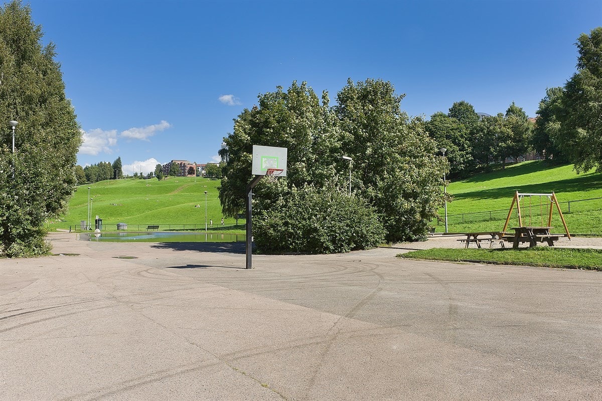 Torshovparken Galleribilde