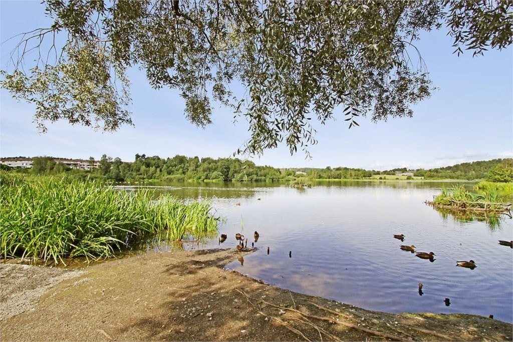 NÆROMRÅDE: ØSTENSJØVANNET BYR PÅ HYGGELIGE TURMULIGHETER FOR FAMILIEN - VELKOMMEN TIL VISNING I NYLÆNDE 7! Galleribilde