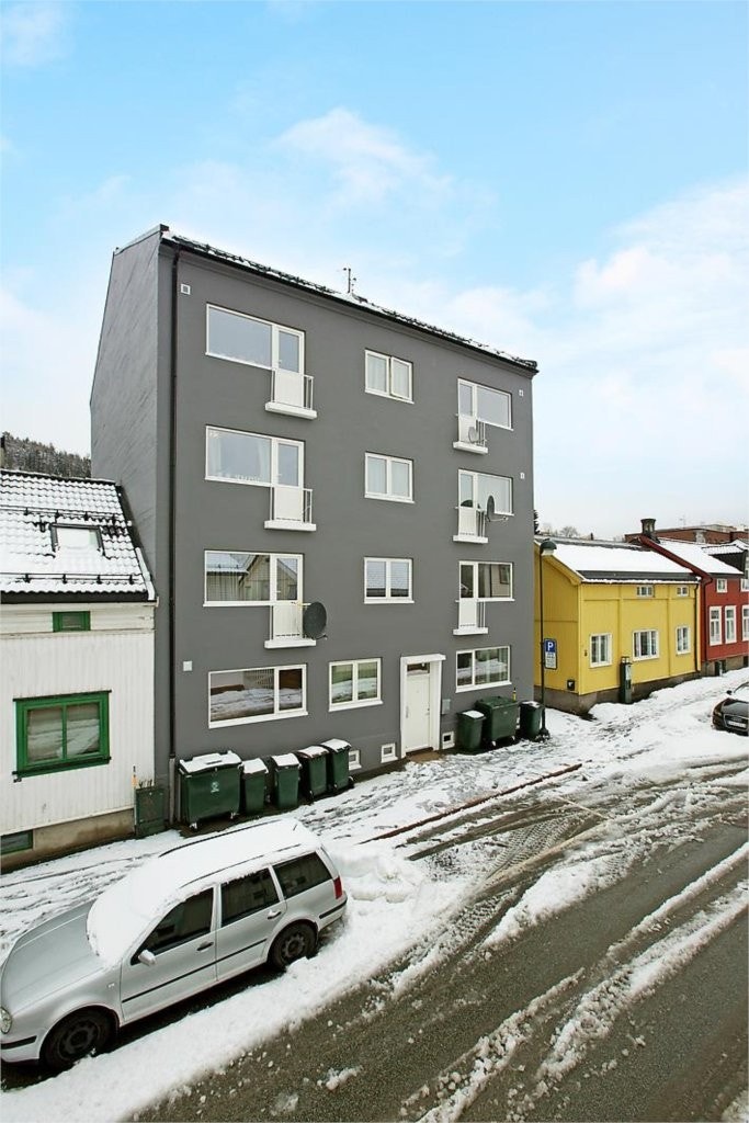 Mastfoto Galleribilde