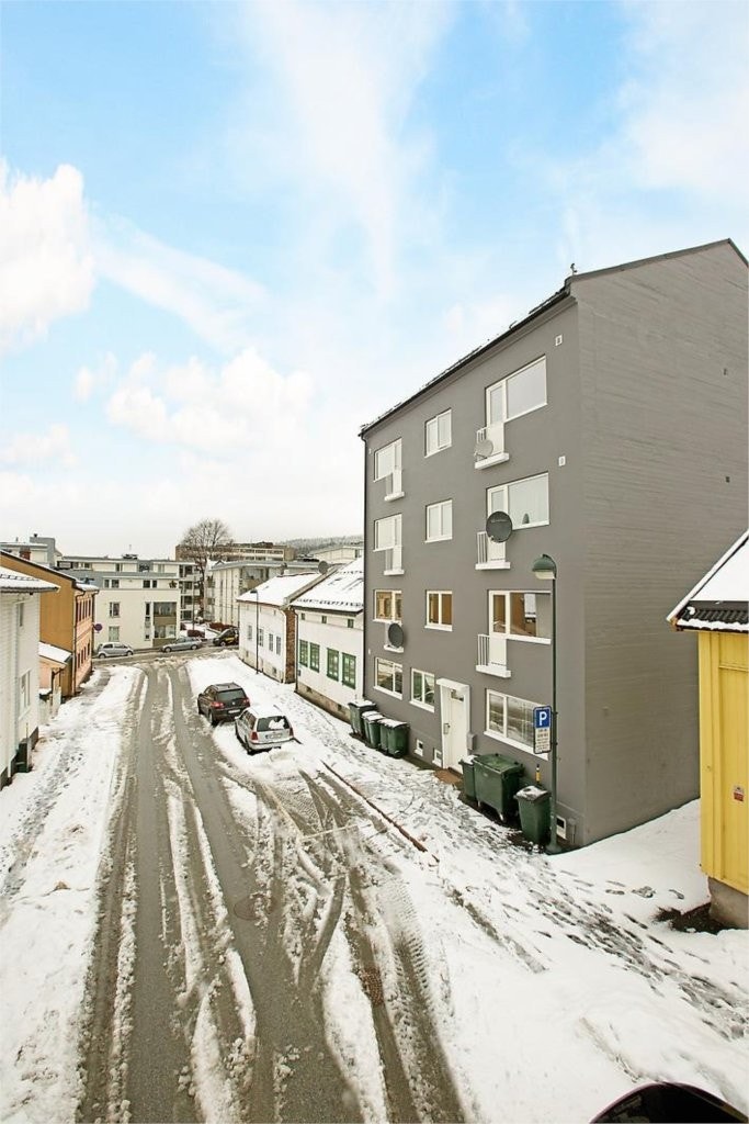 Mastfoto Galleribilde