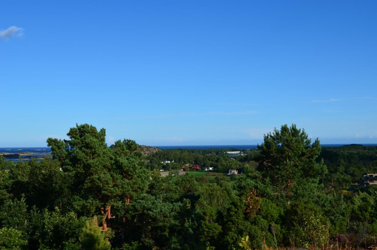 Utsikt mot Hasla Galleribilde