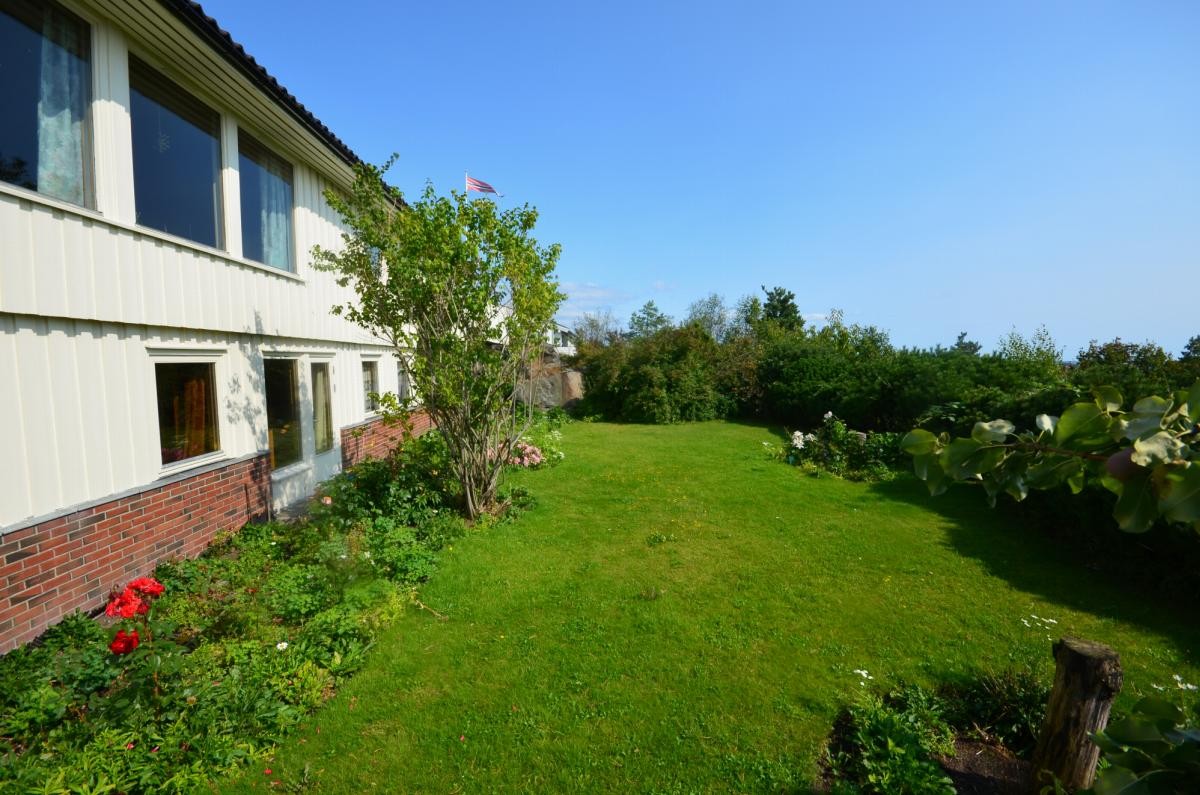 Fra hagen Galleribilde