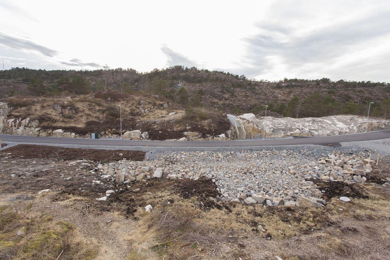 Tomt 49, utsikt mot Vest Galleribilde