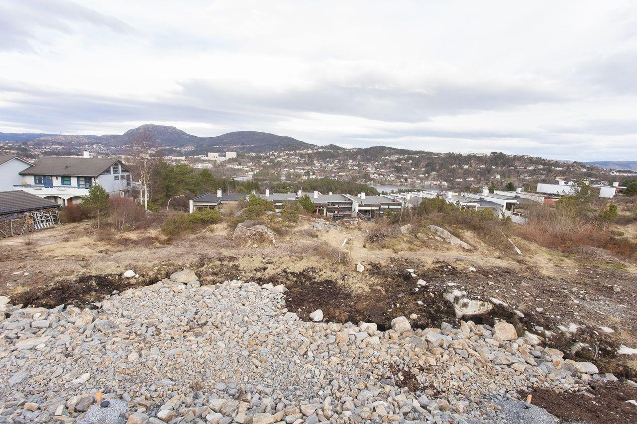 Tomt 49 Galleribilde