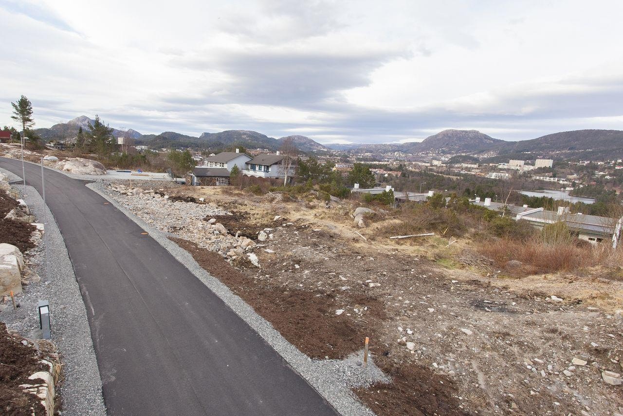 Vei ved tomt 49 Galleribilde