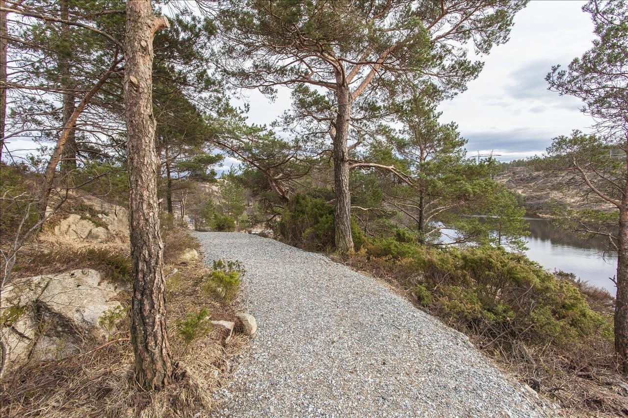 Tursti ved Knappentjernet Galleribilde