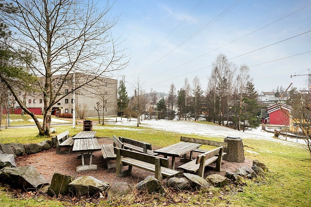 Områdebilde Galleribilde