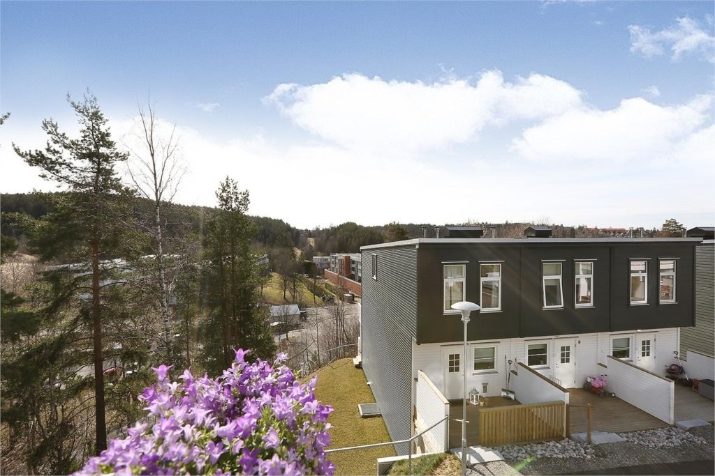 Martin Heier Larsen presenterer Skullerudbakken 134. Galleribilde