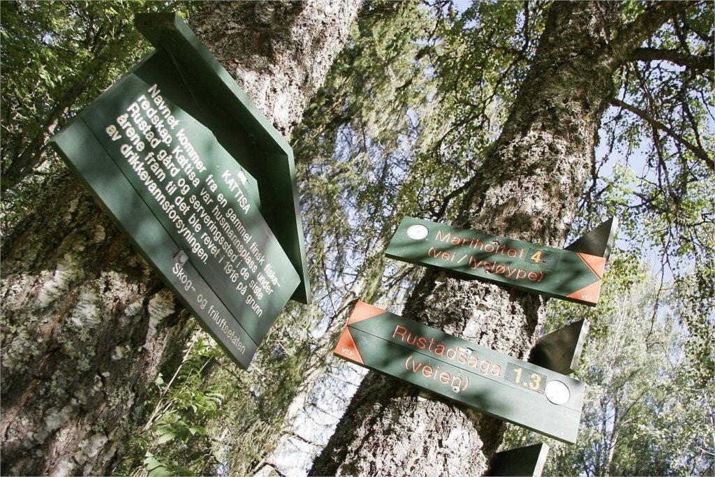 Turterreng i nærområde Galleribilde