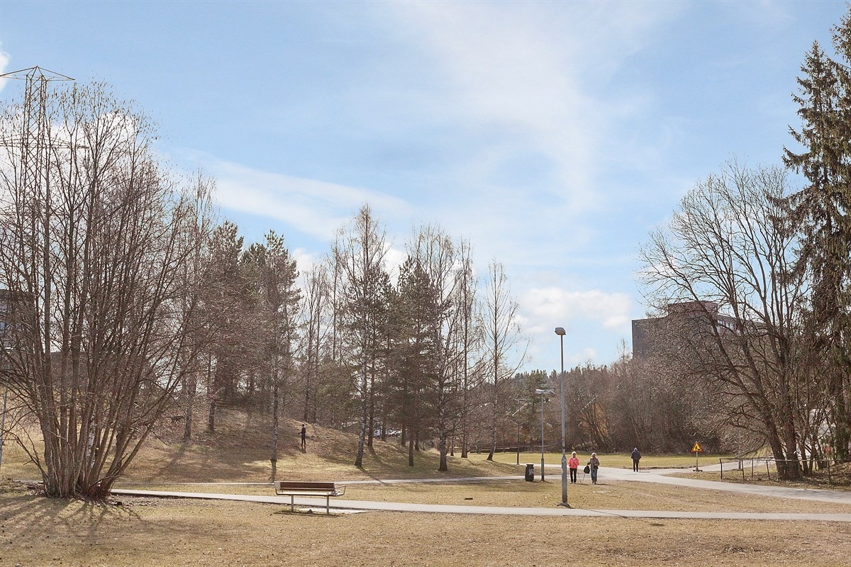 Mærradalen Galleribilde