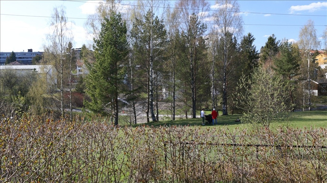 Grønne og barnevennlige omgivelser Galleribilde