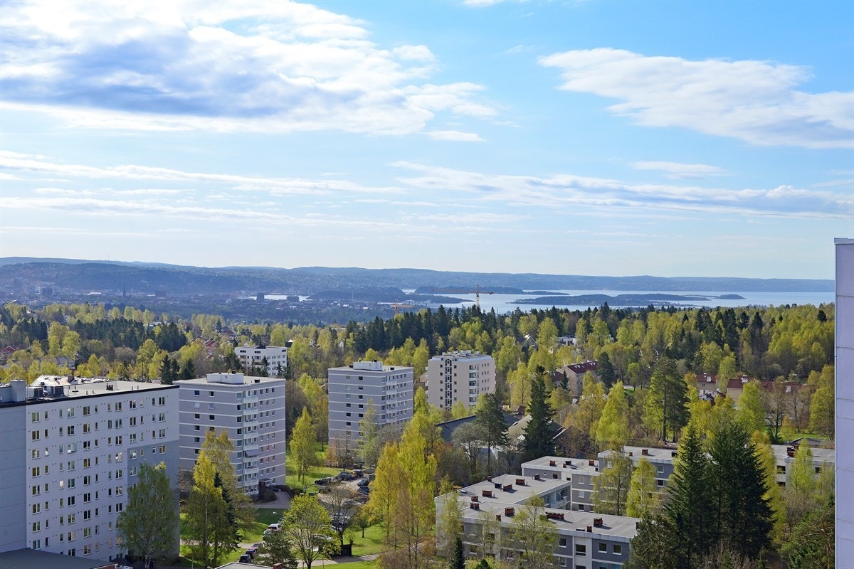 Gedigen utsikt fra felles takterrasse Galleribilde